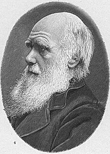 ダーウィンの肖像・写真